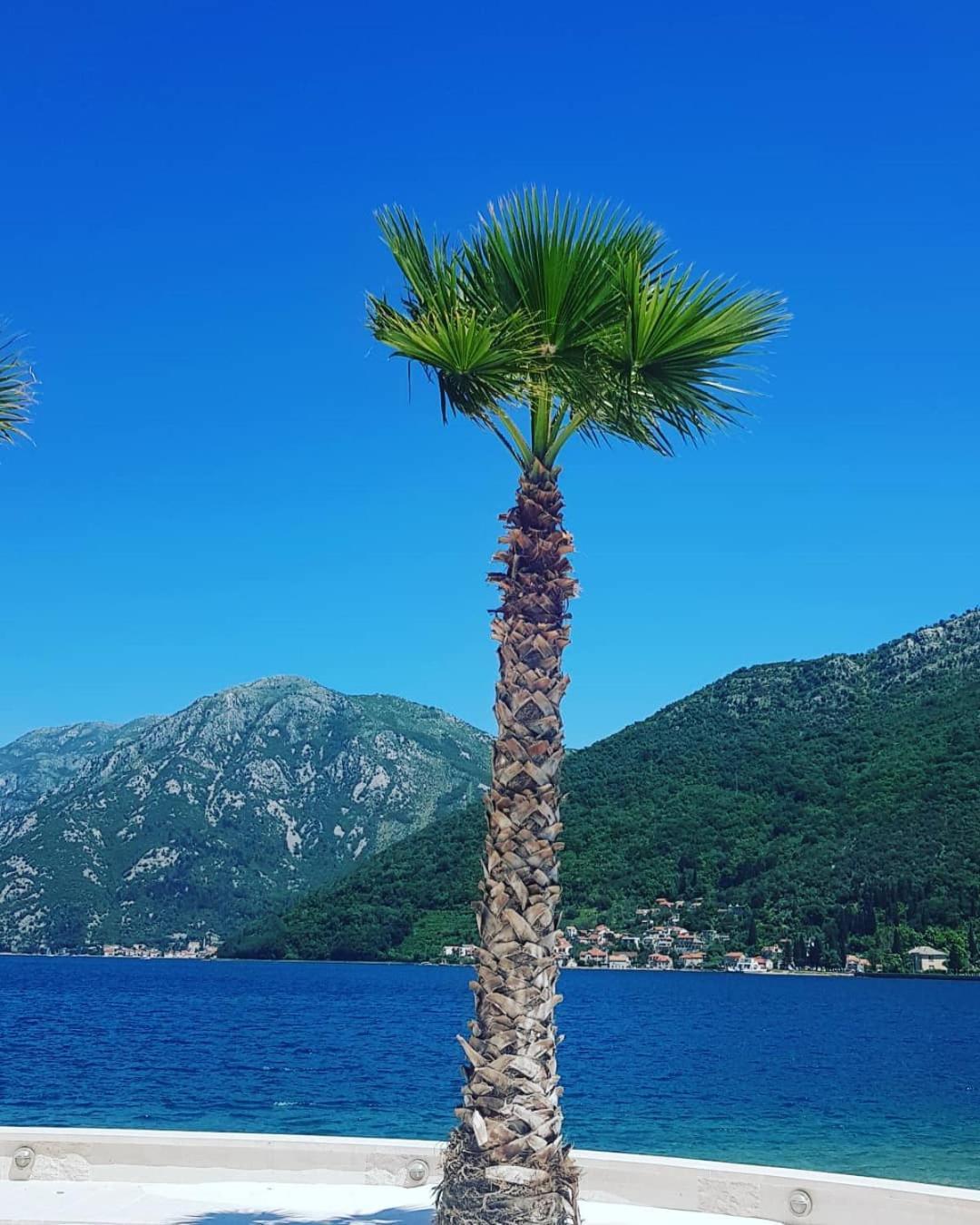 Apartman Taraca Villa Knezevic แฮร์เซ็ก-โนวี ห้อง รูปภาพ