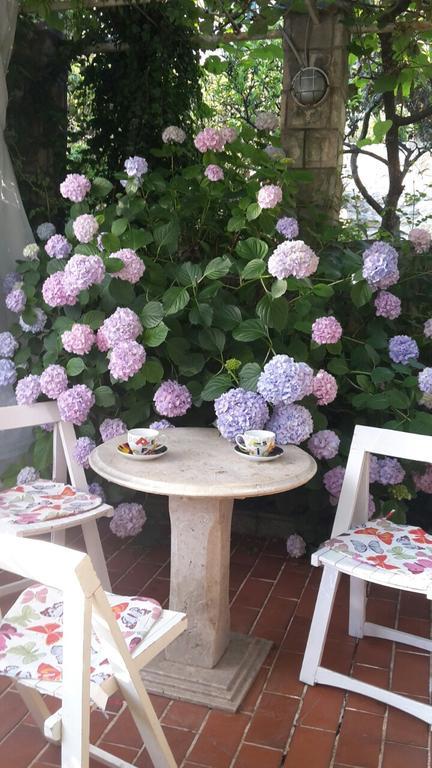 Apartman Taraca Villa Knezevic แฮร์เซ็ก-โนวี ภายนอก รูปภาพ